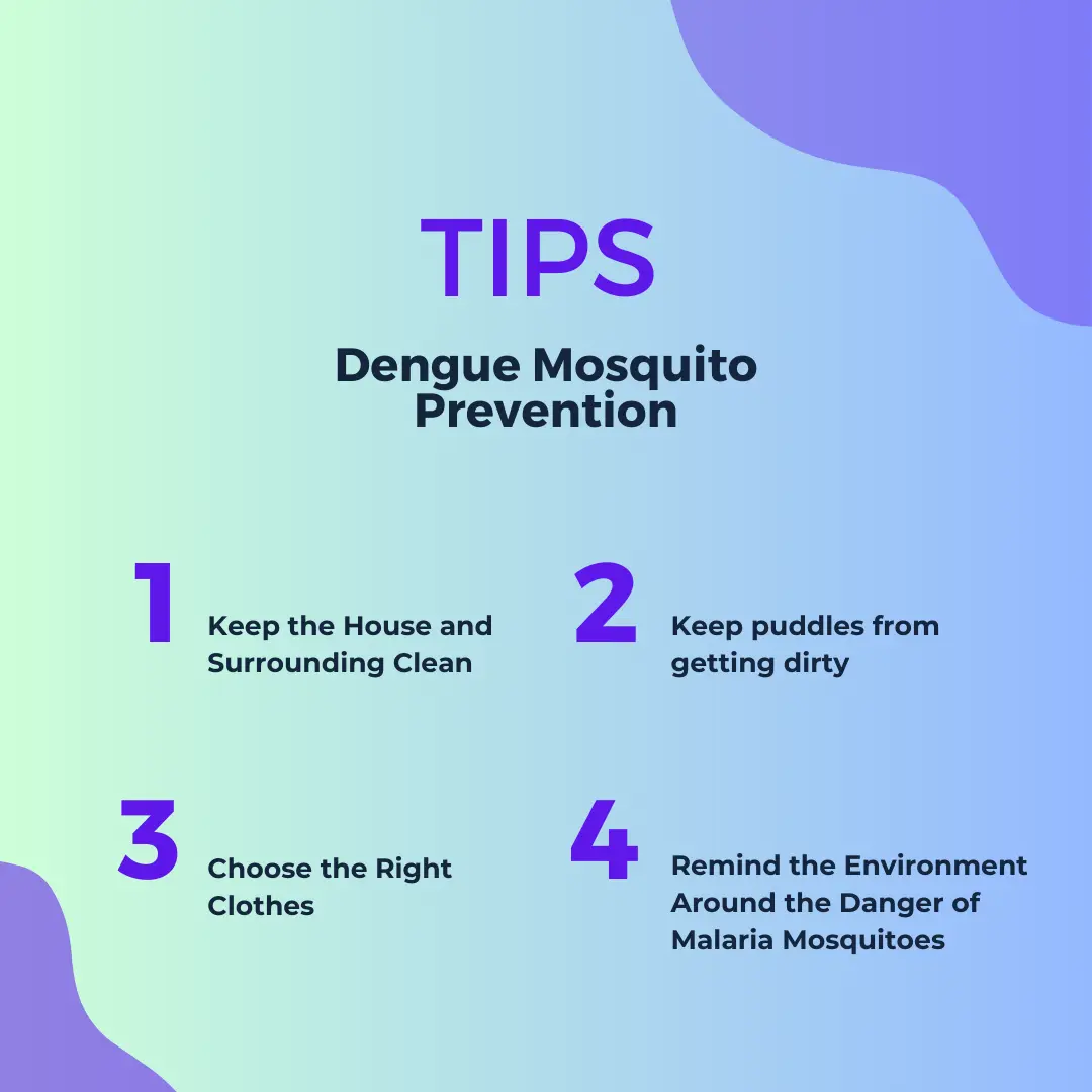  Dengue mosquito Prevention